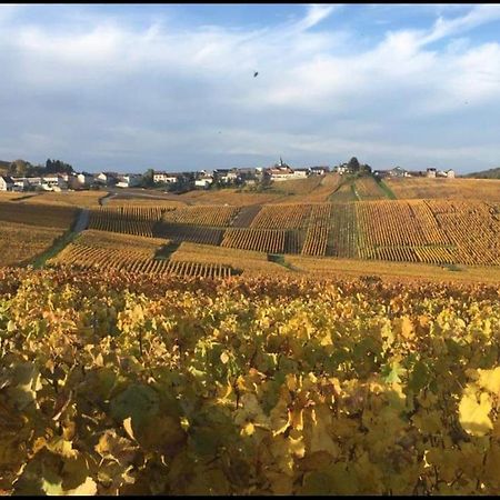 Gite En Champagne Le Sarment Cramant Exteriör bild