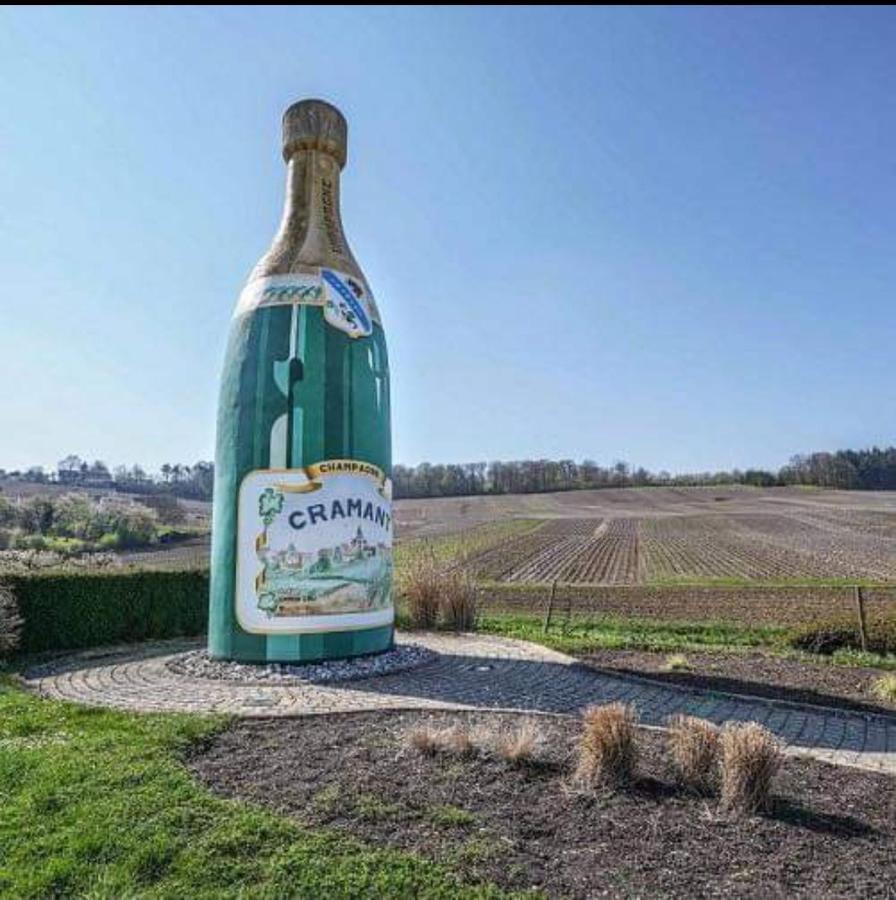 Gite En Champagne Le Sarment Cramant Exteriör bild