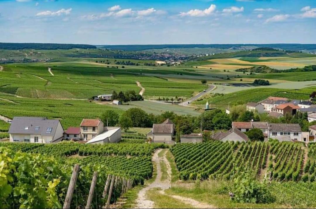 Gite En Champagne Le Sarment Cramant Exteriör bild